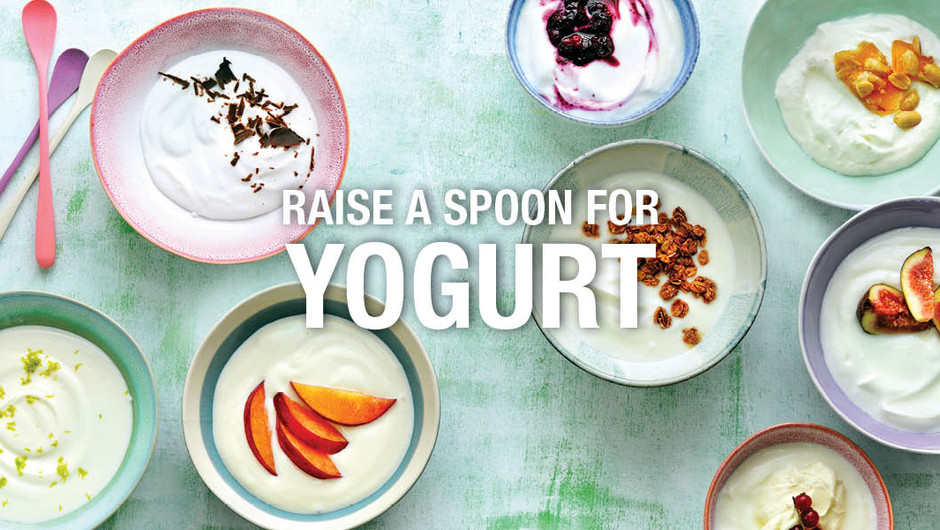 Raise a Spoon to Yogurt Martin's Foods