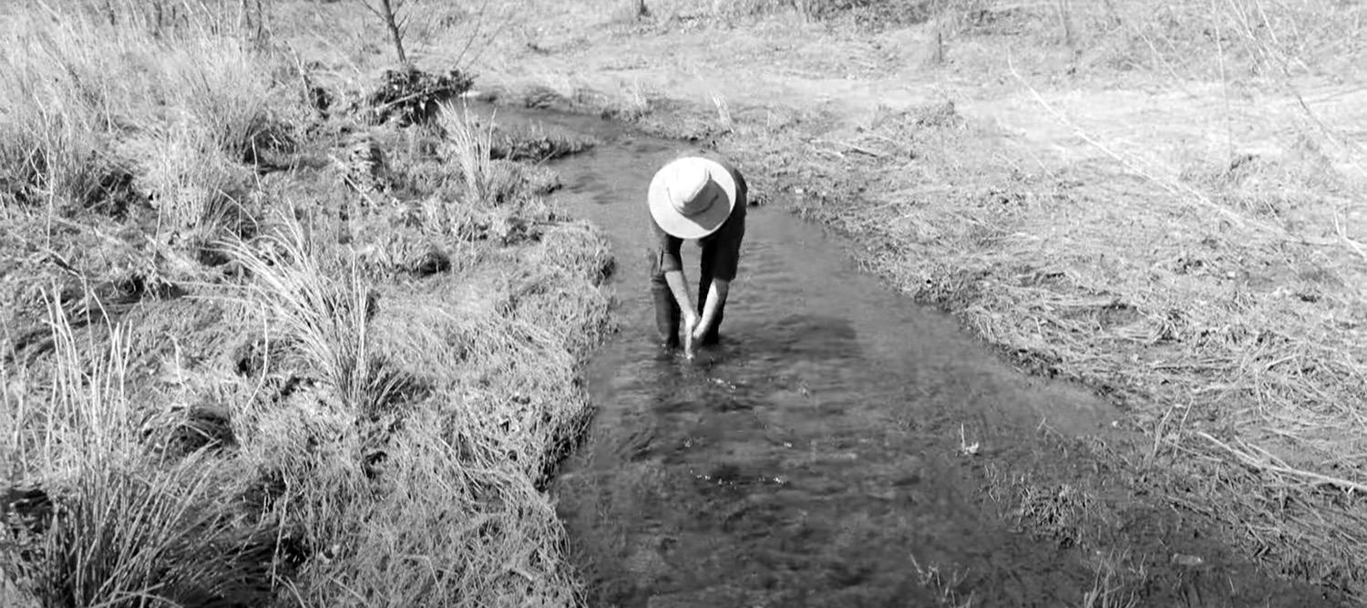 Why Buying Giant Milk Makes a Difference. Giant Food Store
