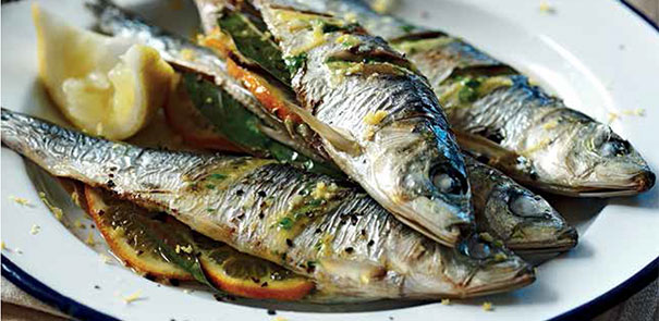 Citrus Sardines 605x295